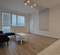 Living room in a two-room apartment with a wooden decor floor, sofa, and coffee table.