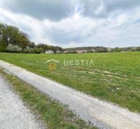 A road near residential plots in Bukovec, surrounded by greenery and houses.