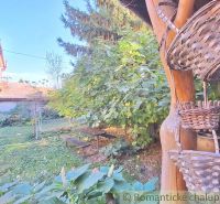 A garden at a family house in Gbelce with a bench, a swing, and abundant greenery.