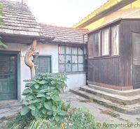 The entrance area of a family house in Gbelce with wooden doors and plants.
