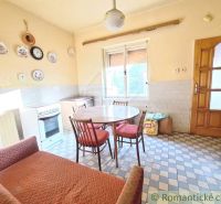 A kitchen in a family house with a dining table, kitchen appliances, and decorative plates.