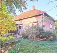 A family house in Gbelce with a garden swing, surrounded by greenery and shrubs.