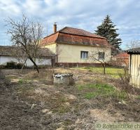 A family house in Kolárovo with a spacious garden, trees, and an adjacent building.
