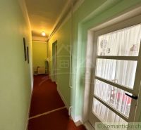 A hallway in a family house with green walls and glass doors.