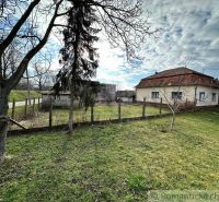A family house in Kolárovo with a lawn and trees under a blue sky.