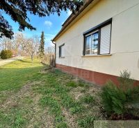 A family house in Kolárovo with an adjacent grassy garden and coniferous trees.
