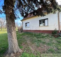 A family house in Kolárovo with a lawn and a tree in the garden.