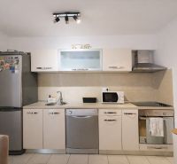 A kitchen unit in a holiday apartment with stainless steel appliances and a microwave.
