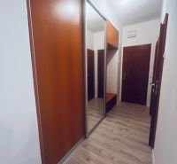 Entrance hall with a built-in wardrobe and a floor with a wooden decor in a 3-room apartment.