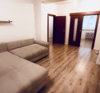 Living room with a comfortable sofa and wooden decor flooring in a three-room apartment.