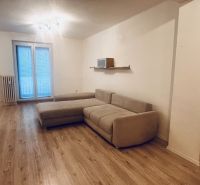 Living room in a 3-room apartment with a sofa and wooden decor flooring.