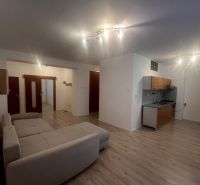 Living room in a 3-room apartment with a kitchen and a floor with a wooden decor.