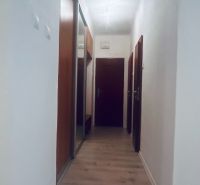 A narrow hallway in a 3-room apartment with a wooden decor floor and a built-in wardrobe.