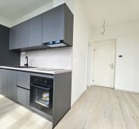 A kitchen unit with a built-in oven and a floor with a wooden decor in a studio apartment.