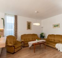 Living room of a two-room apartment with sofas, a plant, and a wooden decor floor.