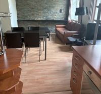 Interior of a 2-room apartment with a wooden decor floor and a stone wall in the living room.