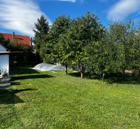 The garden of a family house in Čalovec with a swimming pool and fruit trees.
