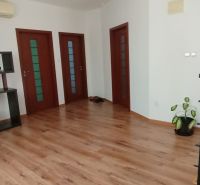Interior of a family house with a wood-patterned floor, a shelf, and a plant.