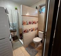 A bathroom in a family house with a washing machine, shower, and toilet.