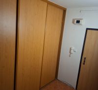 A built-in wardrobe in the hallway with a wooden decor floor in a 2-room apartment.
