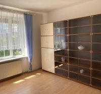 Living room in a 2-room apartment with a window, curtains, and a cabinet with shelves.
