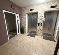Entrance hall with two elevators in a 2-room apartment on P.O. Hviezdoslava in Topoľčany.