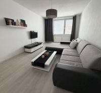 Living room in a two-room apartment with a wooden decor floor and a gray sofa.
