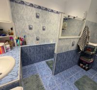 A bathroom with blue tiles and a shelf in a 2-room apartment with toiletries.