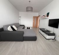Living room in a two-room apartment with a sofa, television, and wooden decor flooring.