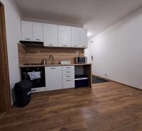 Kitchen unit in a studio apartment with wood-patterned flooring and appliances.