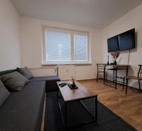 Living room with wood-patterned flooring, a sofa, and a television in a studio apartment.