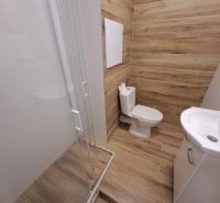 A bathroom in a studio apartment with a wooden decor floor and a shower corner.