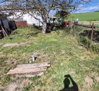 A garden at a family house in a village with a tree and fencing in the countryside.