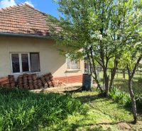 A family house in Dedinka with a front garden and a flower bed.