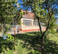 A family house in a village surrounded by a garden with fruit trees, blue sky.