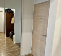 A hallway with a wood-patterned floor, a mirrored wardrobe, and light-colored doors in a 2-room apartment.