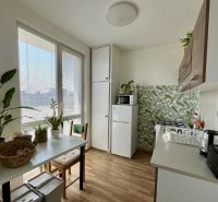 A kitchen in a 2-room apartment with plants and a wooden decor floor.