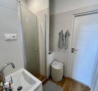 A bathroom in a 2-room apartment with a wood-patterned floor, a shower corner, and a washing machine.