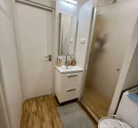 A bathroom in a 2-room apartment with a wooden decor floor, a shower corner, and a sink.