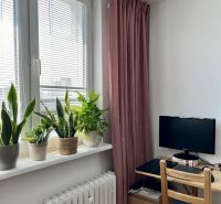 A room with a table, monitor, plants on the windowsill, and a burgundy curtain in a 2-room apartment.