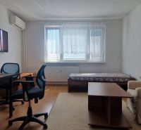 Living room with an armchair, TV, table, and wood-patterned flooring in a two-room apartment.