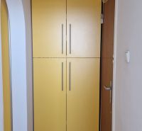 A hallway with a yellow built-in wardrobe and a floor with a wooden decor in a 2-room apartment.