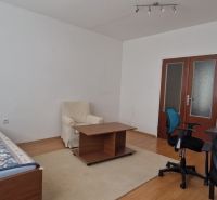 Living room in a 2-room apartment with a bed, an armchair, and a wooden decor floor.