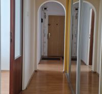 A hallway in a 2-room apartment with a wooden decor floor and a mirrored wardrobe.