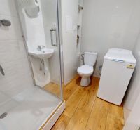 A bathroom in a studio apartment with a wooden decor floor, a shower corner, and a washing machine.