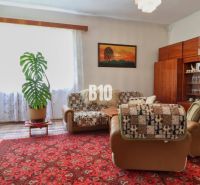 Living room in a family house with a comfortable sofa, carpet, and houseplants.
