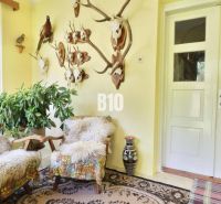Interior of a family house with hunting trophies, plants, and comfortable armchairs.