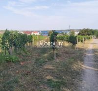 Vineyards and a road in Svätý Jur, residential land, surrounded by nature and greenery.