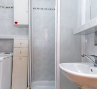 Bathroom with a shower, washing machine, and sink in a 2-room apartment.