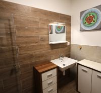 A bathroom with a wooden decor floor, a sink, and a mirror in a two-room apartment.